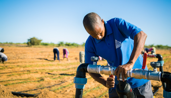 Delta Irrigation