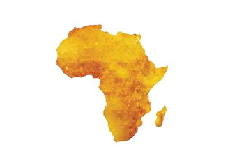 Démographie Afrique Investisseurs et Partenaires