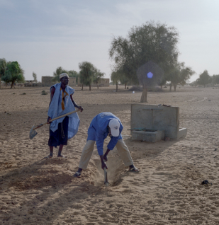 CDS Mauritanie Investisseurs et Partenaires