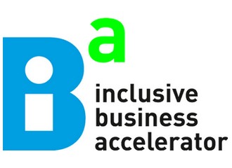 Inclusive Business Accelerator