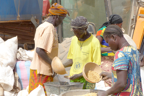 Siatol Sinergi Burkina Faso