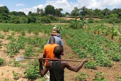 Malakass Madagascar - Miarakap - Investisseurs & Partenaires