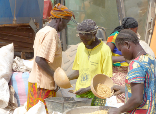 Siatol Sinergi Burkina Faso