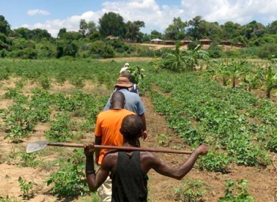 Malakass Madagascar - Miarakap - Investisseurs & Partenaires