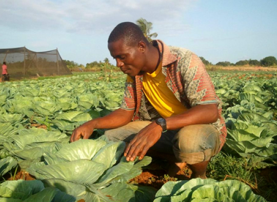 Ghana Eden Tree Investisseurs et Partenaires