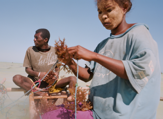 Investisseurs et partenaires iot madagascar