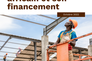 Manifeste pour l’entrepreneuriat africain et son financement